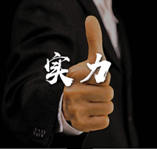 实力-强大的房产纠纷案件执力力量